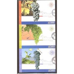 ARGENTINA 2007(2852-57)  3 CARNETS   PAISAJES Y VINOS  MINT