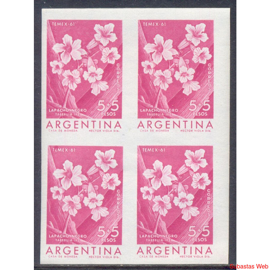 ARGENTINA GJ1203 CUADRO SIN DENTAR ENSAYOS NO ADOPTADO. LUJO